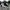 vans slip on flame black white* photo 4
