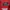 Wb Fubu tapped big logo photo 5