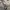 Project M Jacket Suede Silver Grey photo 7