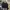Asnofit Jacket Hooded photo 1