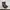 Calvin Klein ankle boot with zipper photo 4