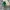 Starbuck Tumbler