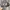 blank realtree trucker hats photo 3