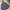 Triple 5 Soul Cagoule Engineered Garmet photo 5