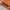 Aspesi Blu US Navy Vintage Service Mens Brick Orange Custom photo 5