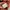 Aspesi Blu US Navy Vintage Service Mens Brick Orange Custom photo 8