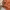 Aspesi Blu US Navy Vintage Service Mens Brick Orange Custom photo 6