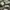 ROK Defense M65 BDU South Korean Army Defend Force Digital photo 4