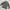 ROK Defense M65 BDU South Korean Army Defend Force Digital photo 5
