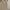 Vest beige hnm photo 1