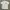 Pleasures Streetwear Skater T-shirt Pria White