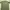 Kaos Outdoor Merrel Baselayer Green Adem Lembut Hiking Trekk photo 5