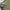 Kaos Outdoor Merrel Baselayer Green Adem Lembut Hiking Trekk photo 4