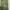 Kaos Outdoor Merrel Baselayer Green Adem Lembut Hiking Trekk photo 7