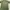 Kaos Outdoor Merrel Baselayer Green Adem Lembut Hiking Trekk photo 1