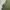 Kaos Outdoor Merrel Baselayer Green Adem Lembut Hiking Trekk photo 2