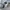 VINTAGE JORTS BY AKADEMIKS Y2K  (Fulltag) photo 6
