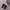 magdiel novia slip on photo 1