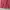Oln navy shortpants pink pastel photo 2