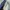 The Editor’s Market Two Tone Blue Denim Jeans Skirt Import photo 8