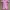 Baju Renang Thermal Anak Pink
