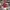 Jersey Home Arsenal 2018/2019 photo 3