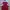 Jersey Home Arsenal 2018/2019 photo 2
