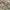 US ARMY MULTICAM AIRCREW  COMBA photo 8