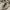 US ARMY MULTICAM AIRCREW  COMBA photo 6