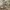 US ARMY MULTICAM AIRCREW  COMBA photo 2