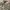 US ARMY MULTICAM AIRCREW  COMBA photo 1