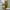One set / Setelan photo 1