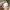 Spongebob Squarepant POPMART photo 6