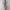 Kiyorawears Alila Satin Dress - Sexy Back Satin Lilac Midi   photo 2