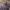 Kiyorawears Alila Satin Dress - Sexy Back Satin Lilac Midi   photo 3