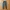 Polham sweatpants joger photo 1