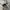Converse Chuck Taylor All Star 70S High Black White Non Egre photo 7