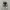 Converse Chuck Taylor All Star 70S High Black White Non Egre photo 4