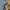 [RIPEN] BAGGY SUPER BALLON🖇️ photo 6