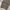 [RIPEN] BAGGY SUPER BALLON🖇️ photo 4