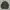 Eagle Force Woodland Camouflage Coat Combat Jacket photo 1