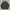Eagle Force Woodland Camouflage Coat Combat Jacket