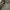 Eagle Force Woodland Camouflage Coat Combat Jacket photo 4