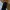 [YORKZOOM] CARPENTER DOUBLE KNEE🖇️ photo 3