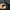 [YORKZOOM] CARPENTER DOUBLE KNEE🖇️ photo 5