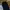 [YORKZOOM] CARPENTER DOUBLE KNEE🖇️ photo 7