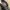 Chelsea boots bucherry photo 2