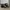 Chelsea boots bucherry photo 1