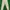 Celana CROCODILE photo 1