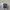Adidas x PLR ART BB 1109 Navy blue photo 5